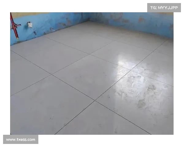 方砖攻略,方砖问题的解决方法：方砖征服：掌握砖块堆叠的奥义